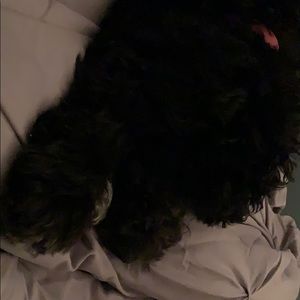 Meet your Posher, Mallory